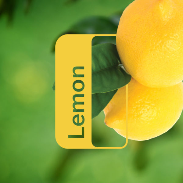 DoTerra Lemon info - Healthy Living - TIOLI Moments
