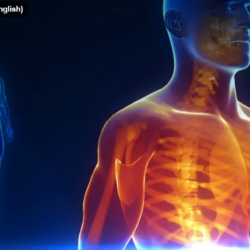 LifeWave - What is Phototherapy - Healthy Living - TIOLI Moments