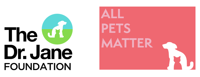 Legacy Pet Nutrition - Dr Jane Foundation -Giving Back to pet rescues - TIOLI Moments Legacy Pet Nutrition - Dr Jane Foundation -Giving Back to pet rescues - TIOLI Moments
