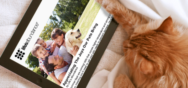 Legacy Pet Nutrition - newsletter - TIOLI Moments