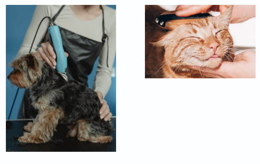 Legacy Pet Nutrition - pet - dog and cat groomer - TIOLI Moments Legacy Pet Nutrition - dog - pet trainer k-9 unit - service dog - TIOLI Moments