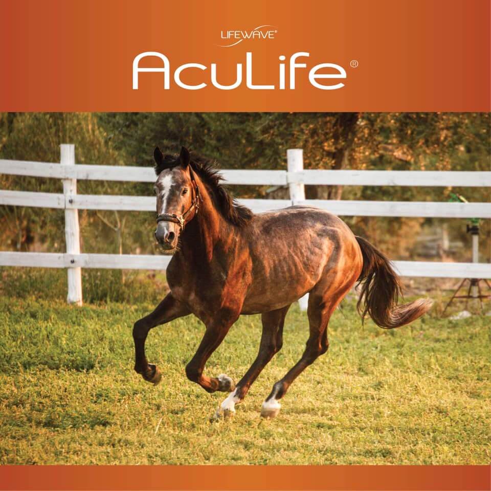 Aculife Patches For Horses - LifeWave - TIOLI Moments - Image