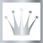 Enroll_Silver-400 LifeWave Enrollment Pack Silver - TIOLI Moments