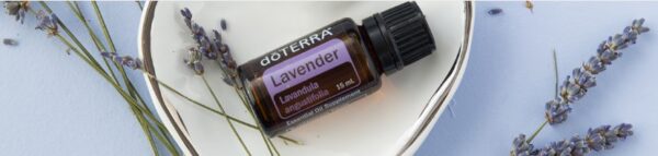 Lavender Essential Oil - 15 ML - Legacy Nutrition and Products