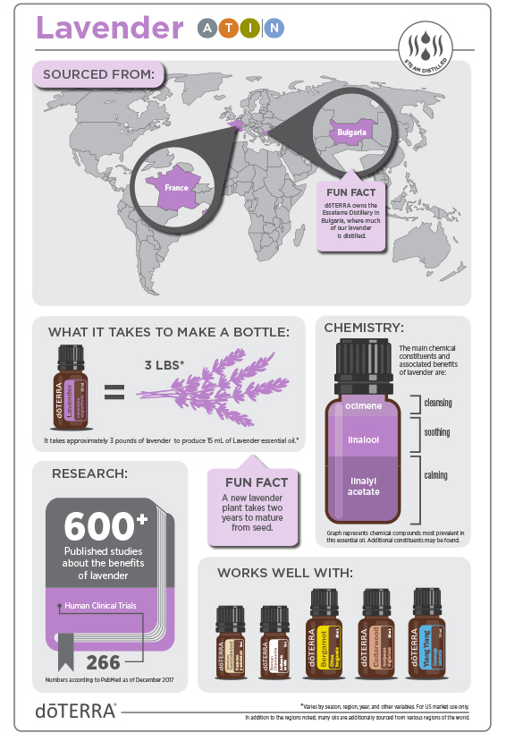 Lavender Essential Oil - FAQ Sheet - Legacy Nutrition and Products