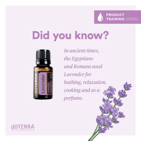 Often regarded as an essential oil to always have in your possession, Lavender oil boasts a myriad of applications. It possesses relaxing and soothing attributes that, when used internally, foster tranquil sleep and alleviate stress-related tension.*